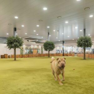 Espace Indoor