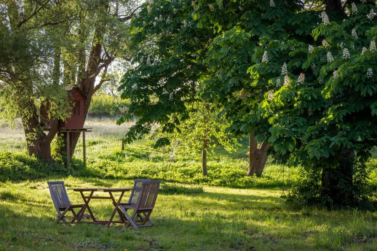 Jardin verdoyant avec terrasse ombragée - Devenez Hôte Unleaz
