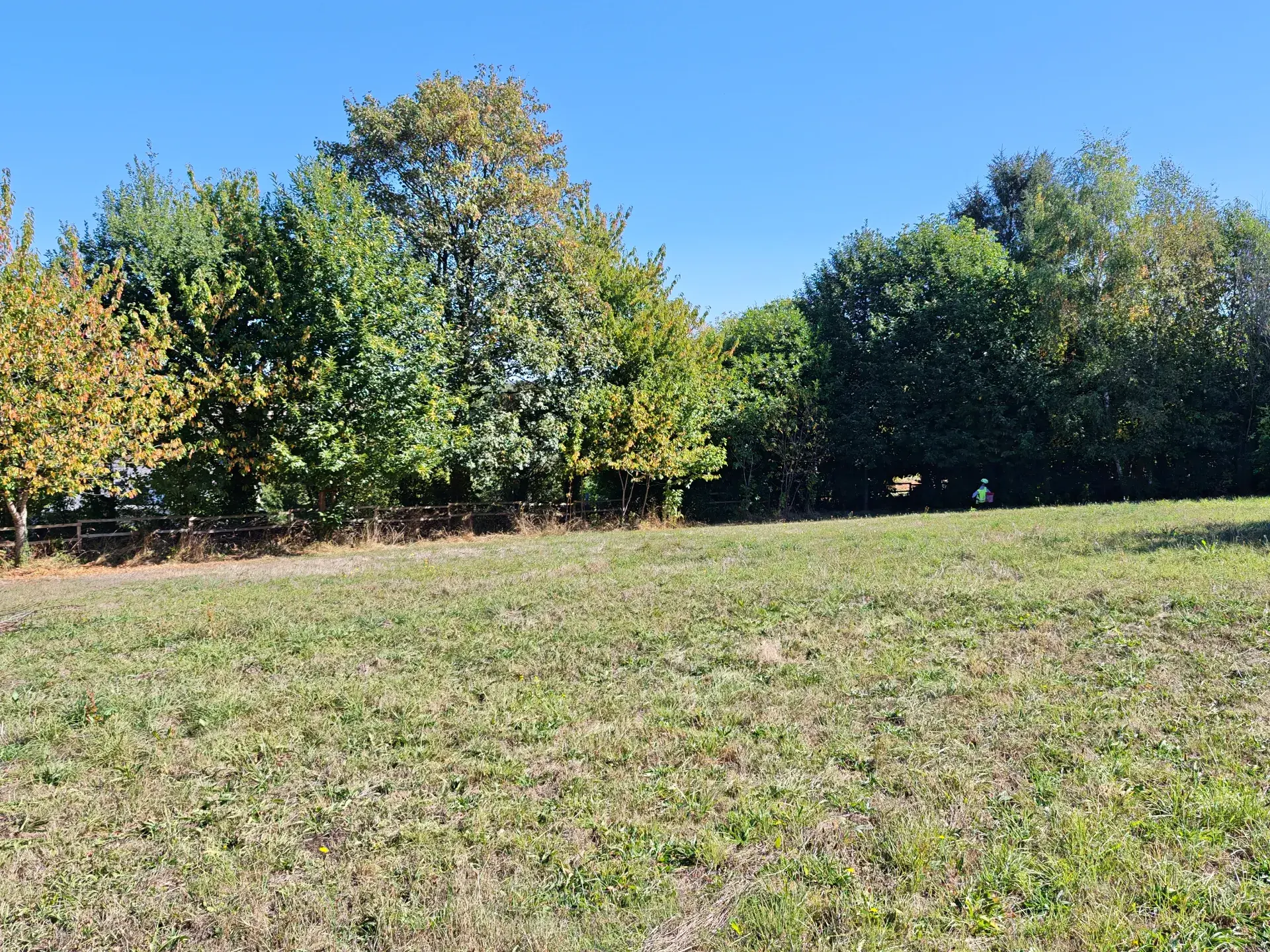 Prairie privative de 2 000 m² pour chiens