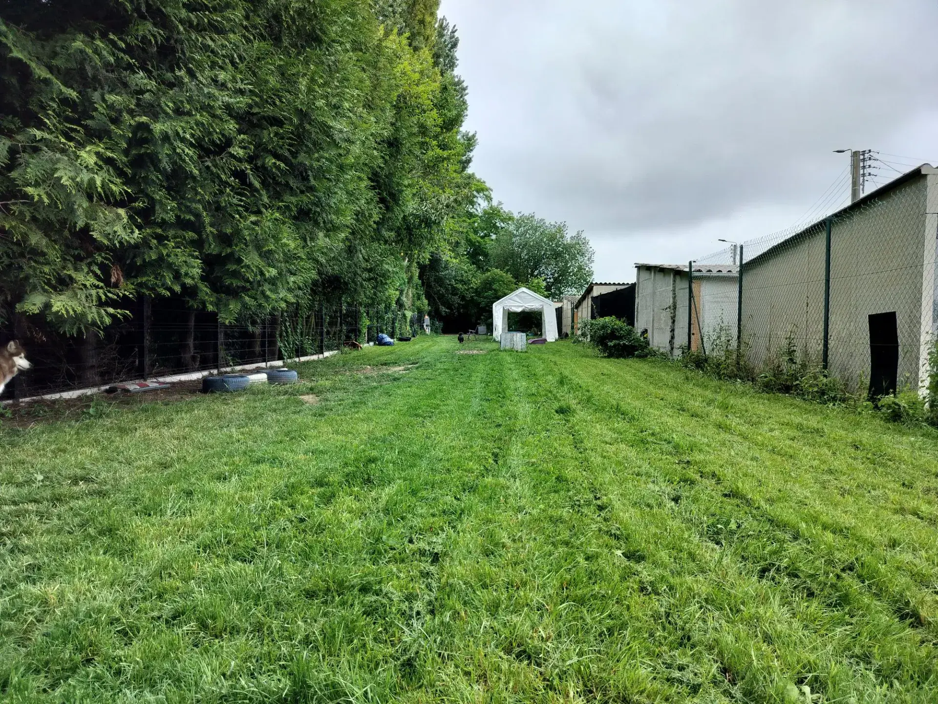 Parc canin sécurisé avec Piscine canine